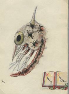 To NMNH Extant Collection (Grapsus grapsus larva (zoea))