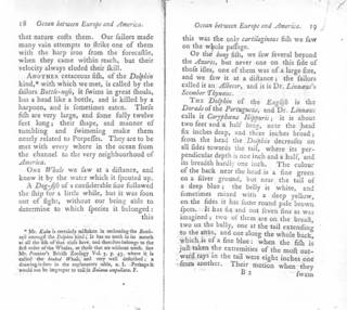 To NMNH Extant Collection (Forster in Kalm 1770 Travels into North America - p 18)