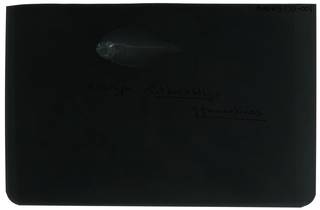 To NMNH Extant Collection (Citharichthys gymnorhinus RAD103775-001)