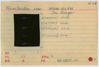 To NMNH Extant Collection (Clevelandia ios RAD108504-001B)