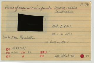 To NMNH Extant Collection (Parioglossus rainfordi RAD108521-001B)