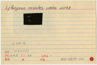 To NMNH Extant Collection (Lythrypnus nesiotes RAD108719-001B)