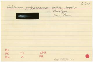 To NMNH Extant Collection (Gobiosoma polyporosum RAD108936-001B)