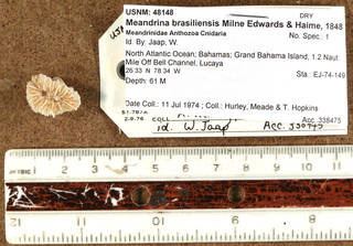 To NMNH Extant Collection (IZ USNM 48148 top view)