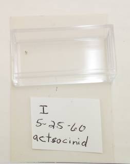 To NMNH Extant Collection (USNM 1436749)