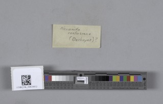 To NMNH Paleobiology Collection (USNM PAL 00639032 label)