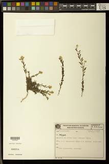 To NMNH Extant Collection (01879441)