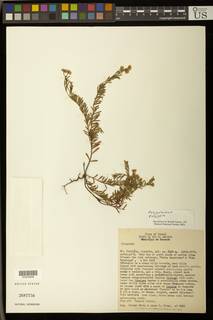 To NMNH Extant Collection (01879442)