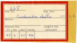 To NMNH Extant Collection (Carcharodon RAD110862 Envelope)