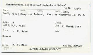 To NMNH Extant Collection (WRM USNM 43344 Card.)