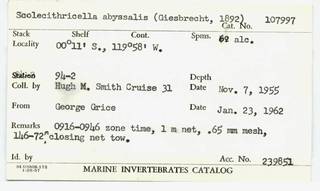 To NMNH Extant Collection (CRT-107997-=card.JPG)