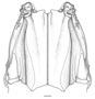 Litopenaeus setiferus image