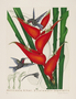 Heliconiaceae - Heliconia bihai 
