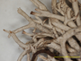 Cladonia perrieri image