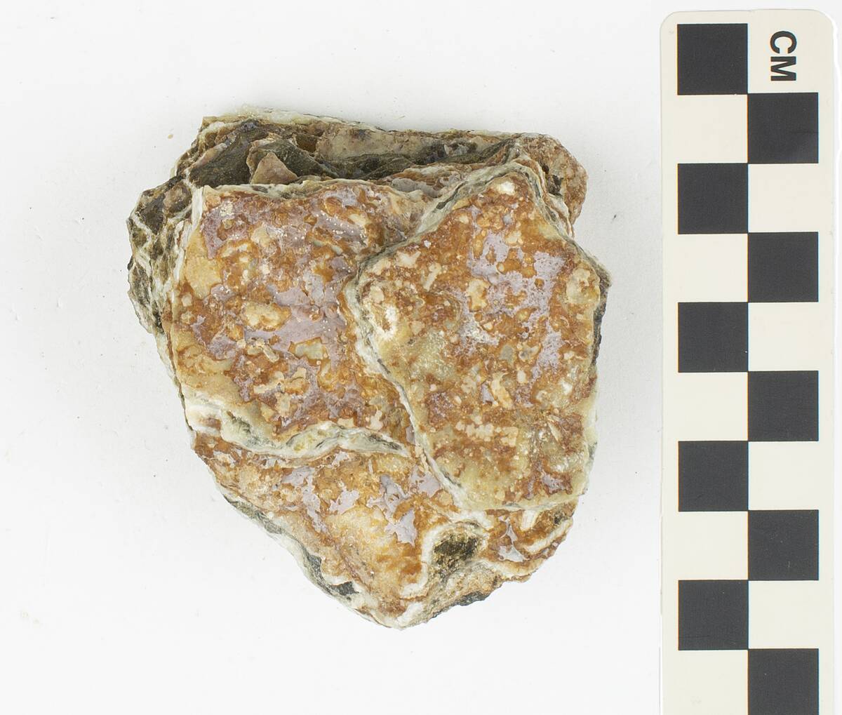EO 045920 Magnesite, Deweylite, and Common Opal 001