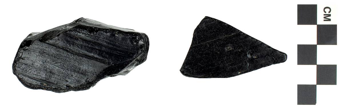 EO 042083 Sedimentary Rock Lignite 001